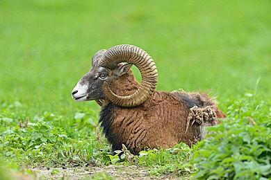 《坎巴拉太空计划2》发售预告片庆祝登陆抢先体验