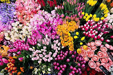 原神与崩坏或改编电影 档期待定